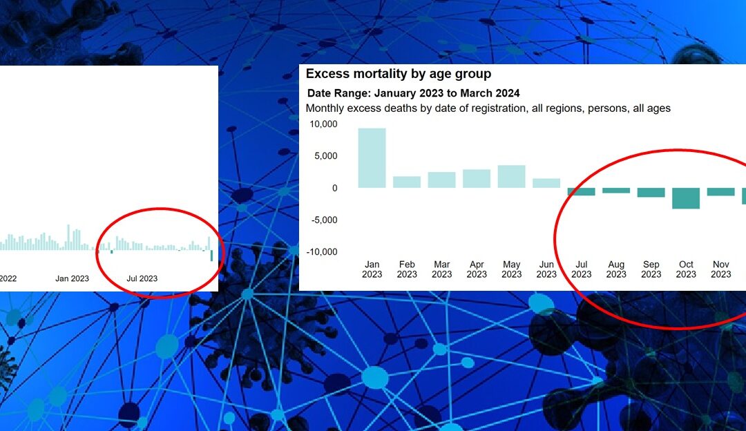 OHID Excess Deaths Statistics